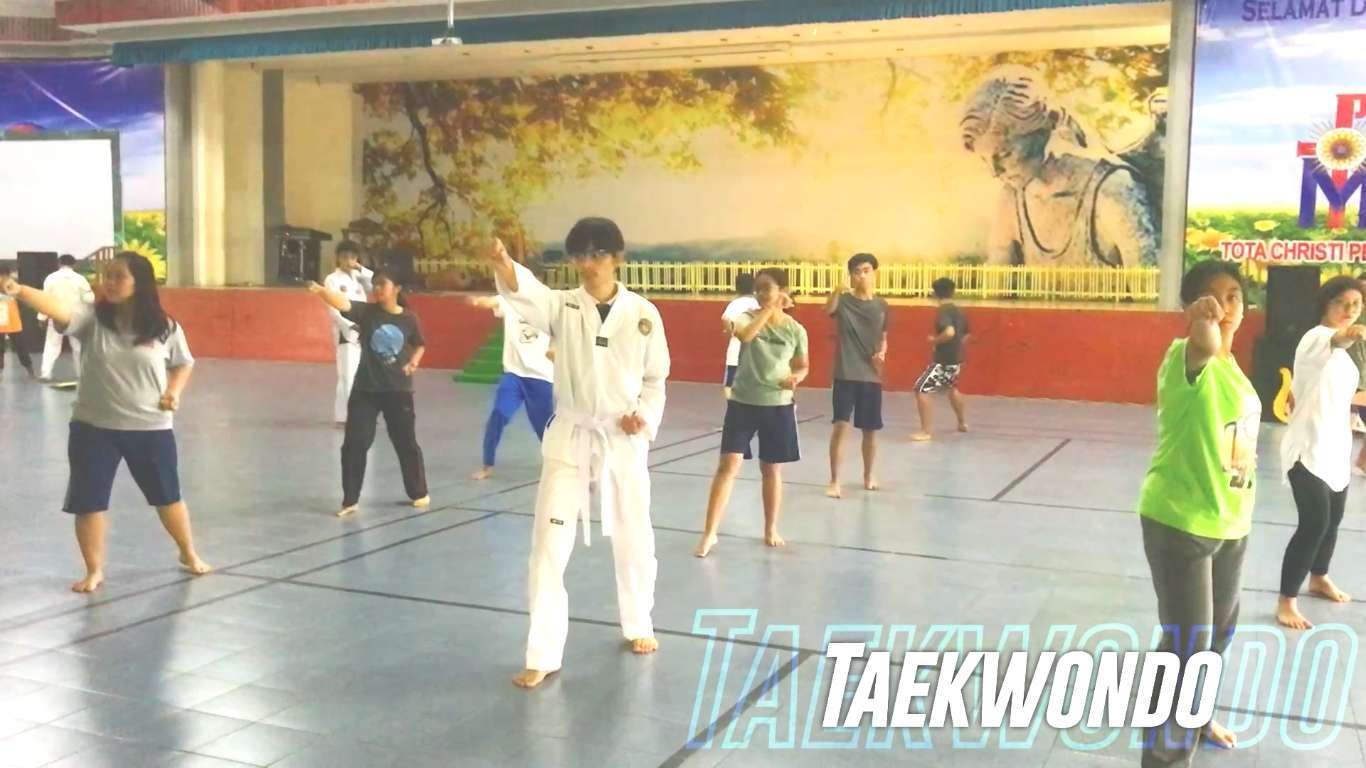 Taekwondo 2 (FILEminimizer)